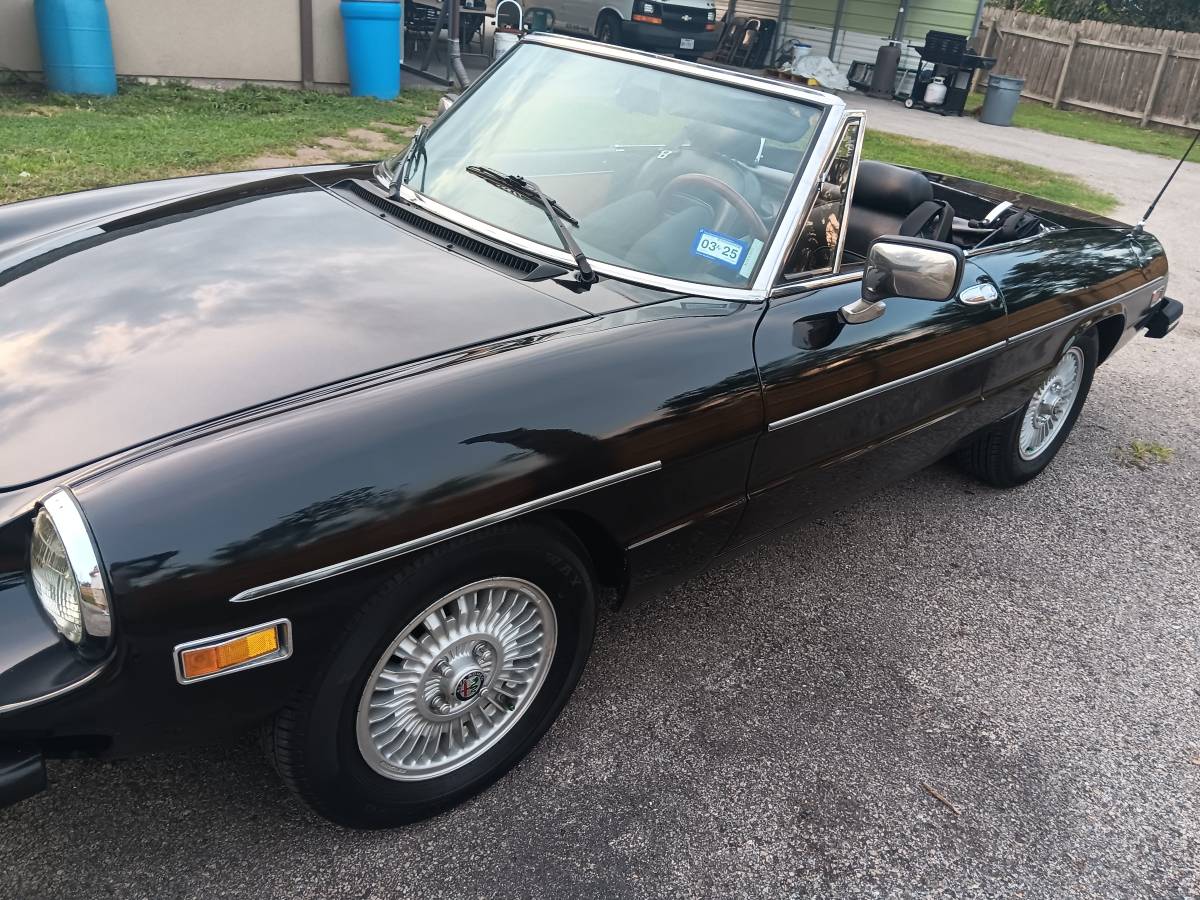 Alfa-romeo-spider-1981-black-4