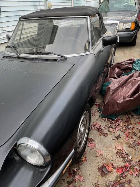 Alfa-romeo-spider-1986-black-7