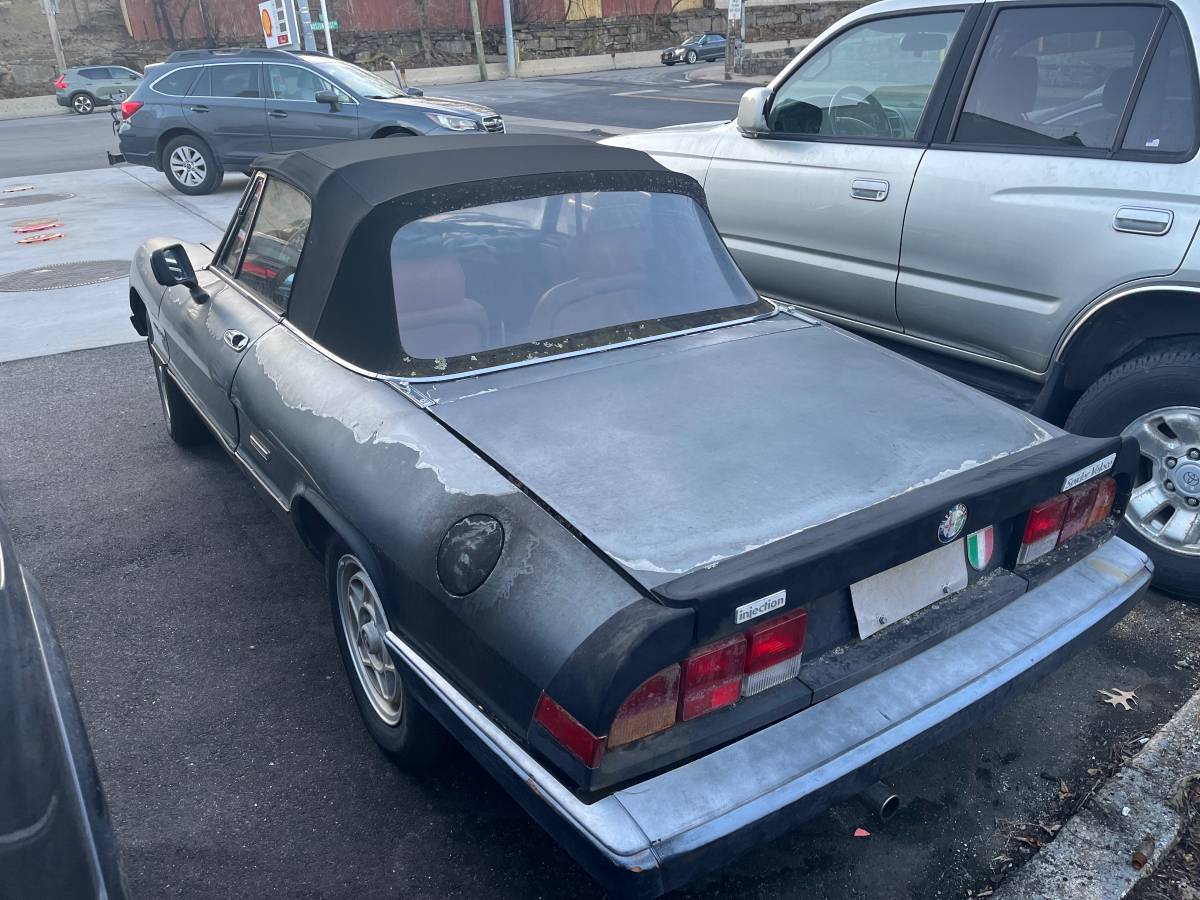 Alfa-romeo-spider-1986-blue-4