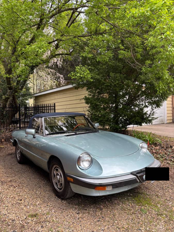 Alfa-romeo-spider-veloce-1984-blue-8