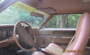 Amc-1974-brown-1