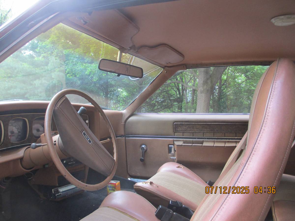 Amc-1974-brown-1