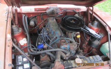 Amc-1974-brown-2