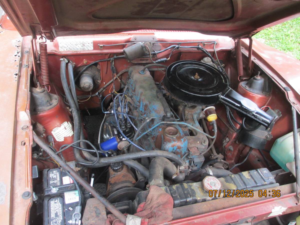 Amc-1974-brown-2