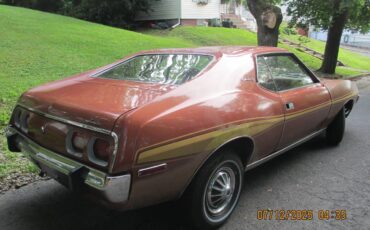 Amc-1974-brown