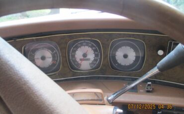 Amc-1974-brown-6