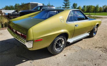 Amc-Amx-1970-Golden-Lime-Metalic-Black-Ventilair-13