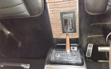 Amc-Amx-1970-Golden-Lime-Metalic-Black-Ventilair-31