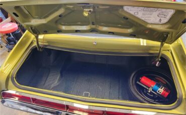 Amc-Amx-1970-Golden-Lime-Metalic-Black-Ventilair-40