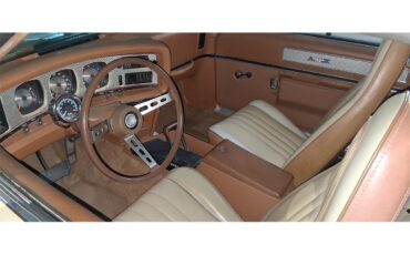 Amc-Amx-1973-Beige-Beige-brown-2