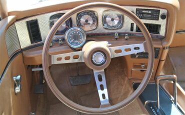 Amc-Amx-1973-Beige-Beige-brown-5