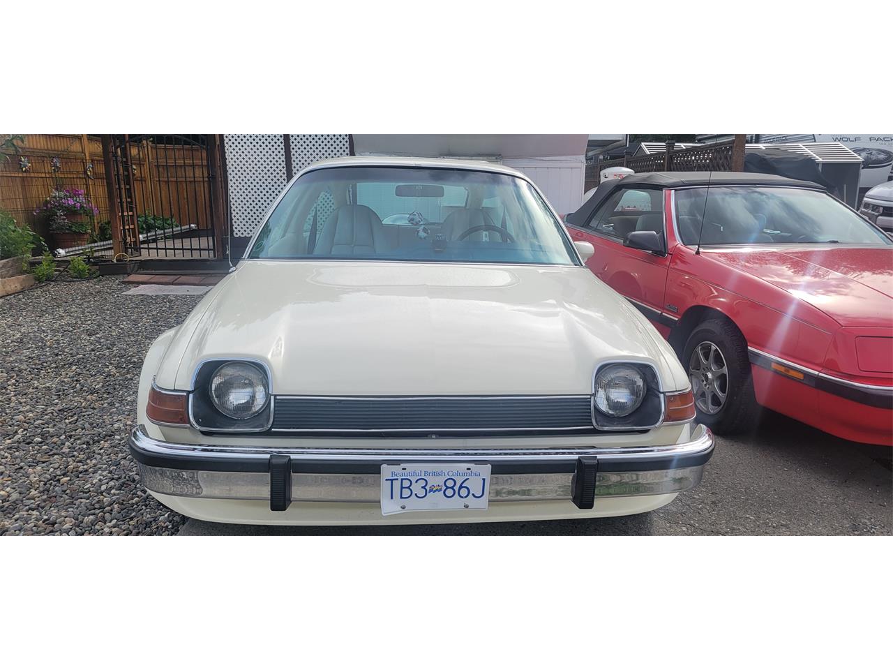 Amc-Pacer-1976-Alpine-White-Royal-Blue-1