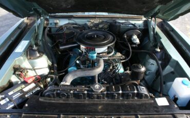 Amc-ambassador-1971-green