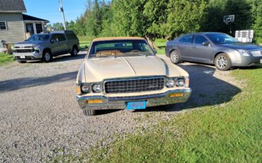 Amc-ambassador-1973