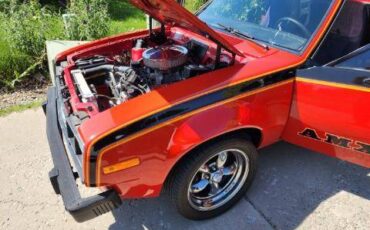 Amc-amx-1979-custom-1