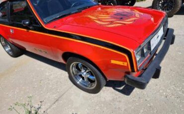 Amc-amx-1979-custom-2
