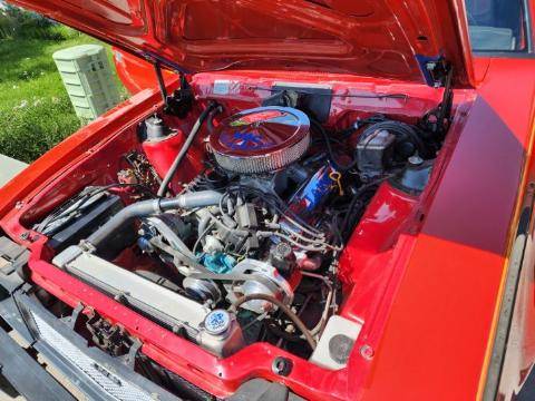 Amc-amx-1979-custom-3