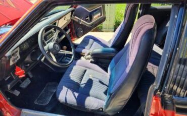 Amc-amx-1979-custom-4