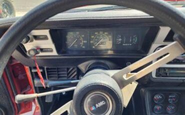 Amc-amx-1979-custom-5
