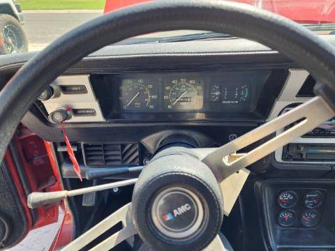 Amc-amx-1979-custom-5