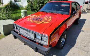 Amc-amx-1979-custom-6
