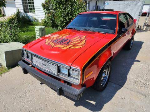 Amc-amx-1979-custom-6