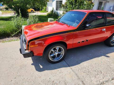 Amc-amx-1979-custom-7