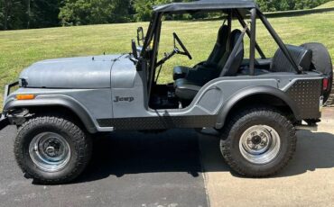 Amc-cj5-1975-grey-1