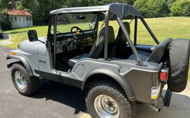 Amc-cj5-1975-grey-3