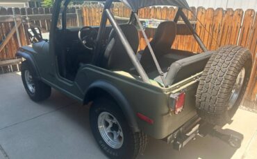 Amc-cj5-1980-green-3