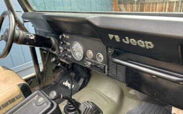 Amc-cj5-1980-green