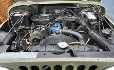 Amc-cj5-1980-green-6
