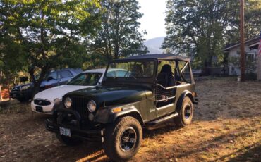 Amc-cj7-jeep-1981-green-2