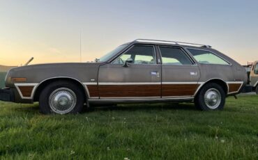 Amc-concorde-woody-1978-brown-1