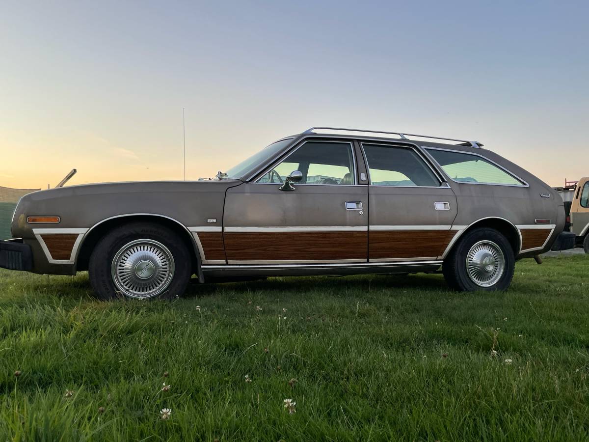 Amc-concorde-woody-1978-brown-1