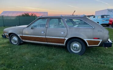 Amc-concorde-woody-1978-brown-10