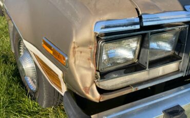 Amc-concorde-woody-1978-brown-11
