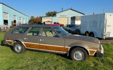 Amc-concorde-woody-1978-brown-12