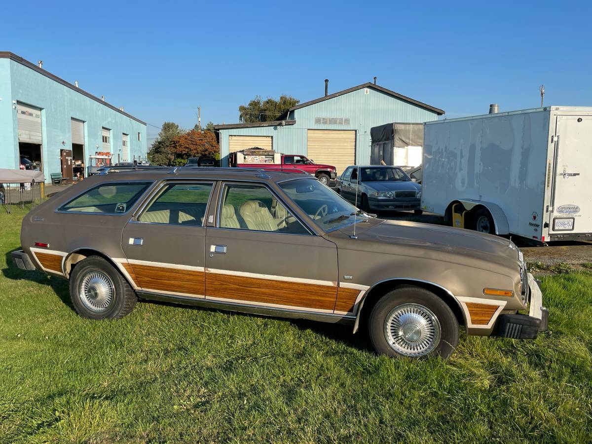 Amc-concorde-woody-1978-brown-12