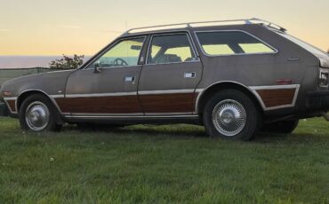 Amc-concorde-woody-1978-brown-2