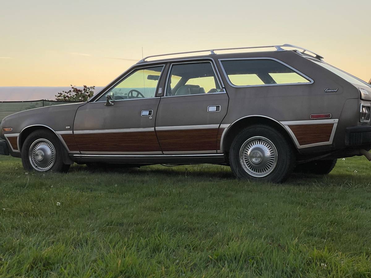 Amc-concorde-woody-1978-brown-2