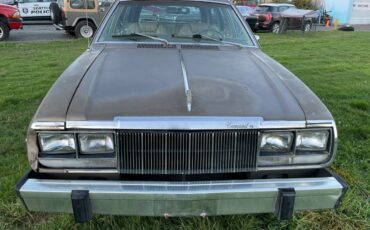 Amc-concorde-woody-1978-brown-3