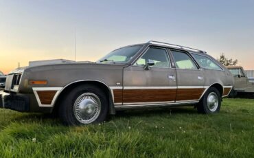 Amc-concorde-woody-1978-brown