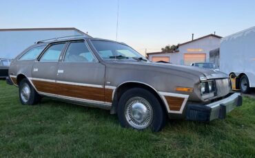Amc-concorde-woody-1978-brown-4
