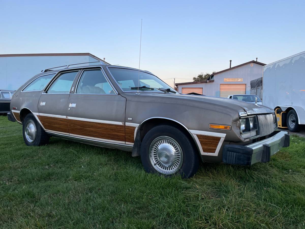 Amc-concorde-woody-1978-brown-4
