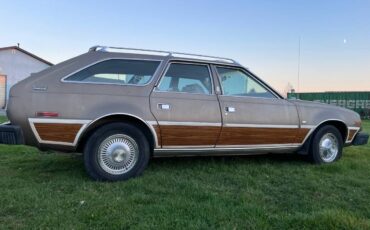 Amc-concorde-woody-1978-brown-5