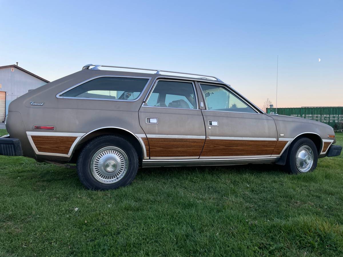 Amc-concorde-woody-1978-brown-5