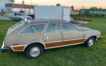 Amc-concorde-woody-1978-brown-6