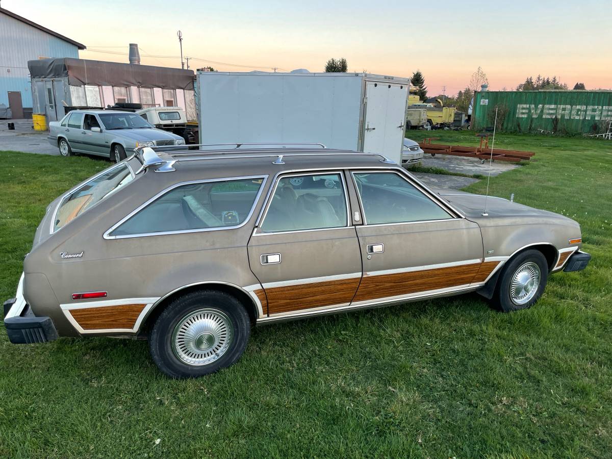 Amc-concorde-woody-1978-brown-6