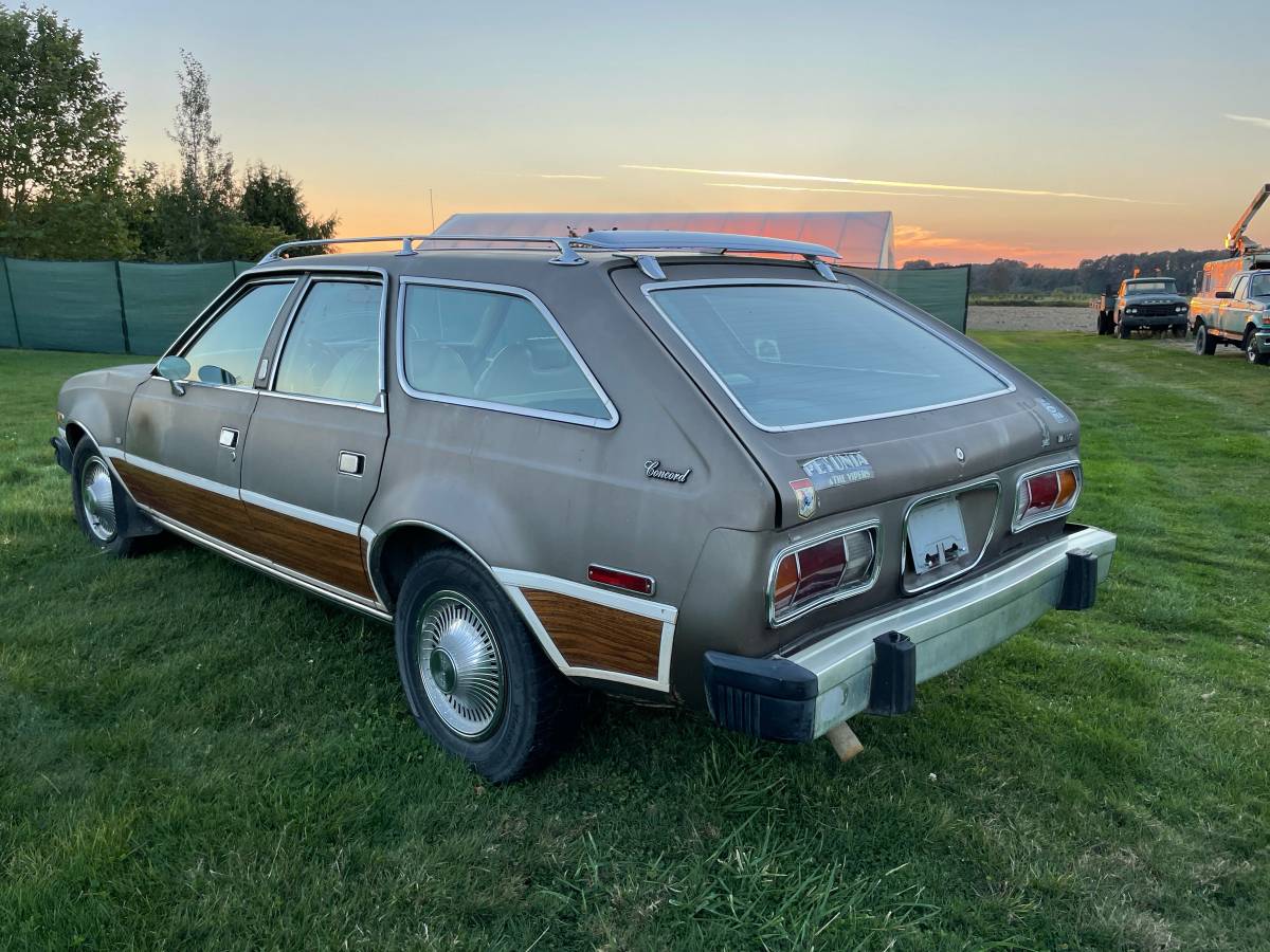 Amc-concorde-woody-1978-brown-9